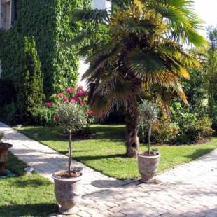 Фотографии мини отеля
L'eau Bourde