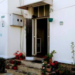 Фотографии хостела
Galapagos Natural Life Hostel