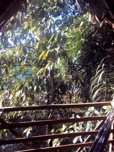 Фотография мини отеля Casa do Xingu