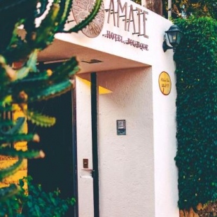 Фотография гостиницы Hotel Amate