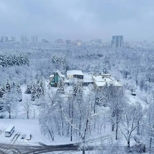 Фотография квартиры Апартаменты Мать и Дитя