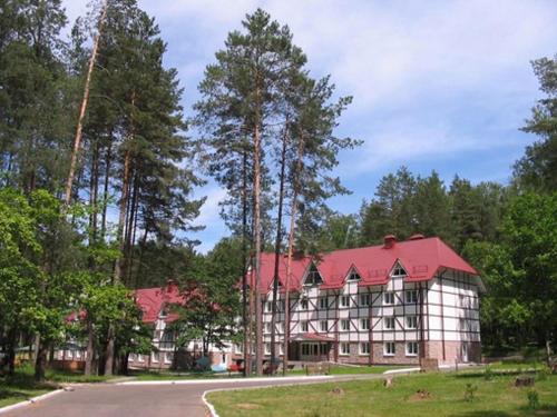 Фотография гостиницы БАТЕ