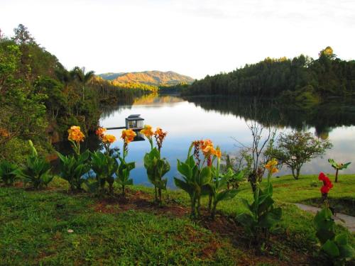 Фотография гостиницы Hotel Pietrasanta