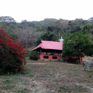 Фотографии хостела
Hostel Finca La Gordita