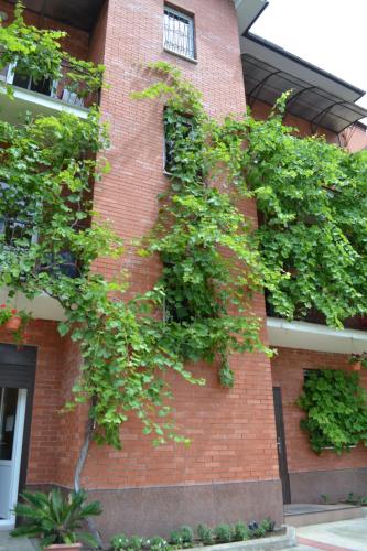 Фотографии гостевого дома
На Фабрициуса 4/2