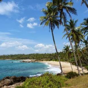Фотографии гостиницы 
            Palm Paradise Cabanas & Villas Beach Resort