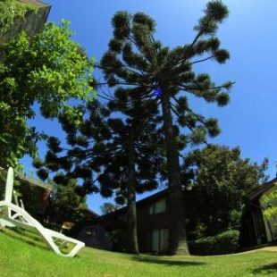 Фотография гостиницы Hotel Costanera Pucón