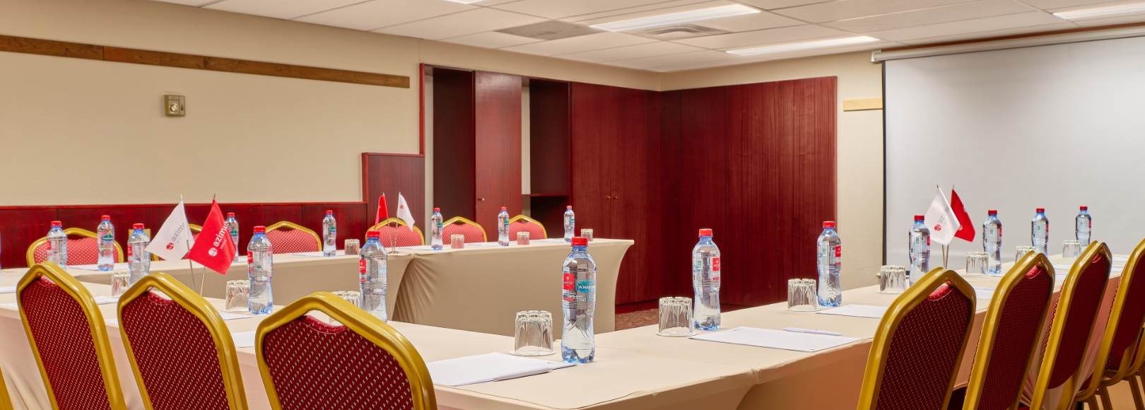 Фотография конференц-зала Толмачево