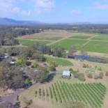 Фотография гостевого дома McCaffrey's Estate