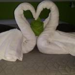 Фотография гостиницы Vila William’s