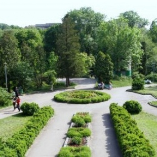 Фотография Ботанический сад имени академика А.В. Фомина