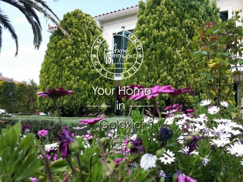 Фотография гостевого дома Acroploro