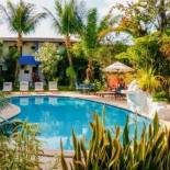 Фотография мини отеля Pousada Arriba Pipa