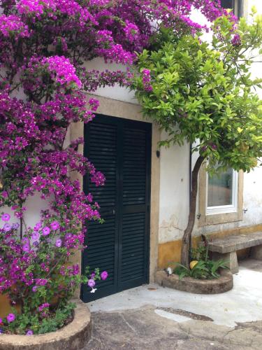 Фотография гостевого дома Quinta da Bizelga Cottages