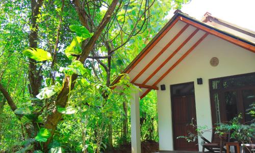 Фотография гостиницы Palmyra Nature Resort Sigiriya