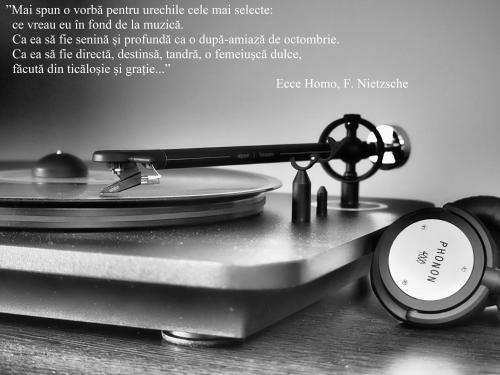 Фотография гостевого дома VINYL House. A quiet street in the centre of city