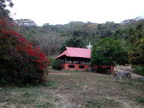 Фотография хостела Hostel Finca La Gordita