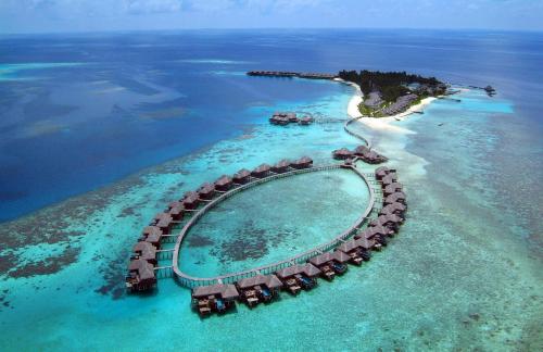 Фотография гостиницы Coco Bodu Hithi