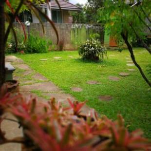 Фотографии гостиницы 
            Baan Bua Guest House