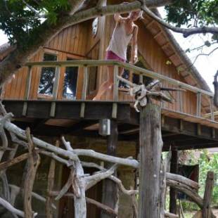 Фотографии гостевого дома 
            Driftwood Studios