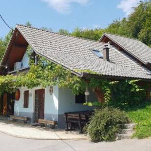 Фотографии гостевого дома 
            Zidanica Meglič - Vineyard cottage Meglič