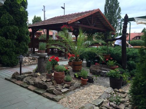 Фотография мини отеля Szépasszony Fogadó