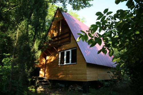 Фотография кемпинга На реке Шаке