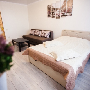 Фотография квартиры Апартаменты  Червишевский тракт 58