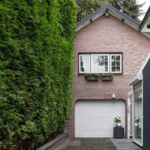 Фотографии мини отеля 
            CENTRUM-MARIASTRAAT-APELDOORN