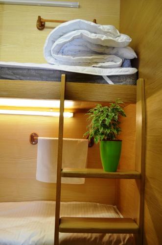 Фотографии хостела
AntiHostel Forrest