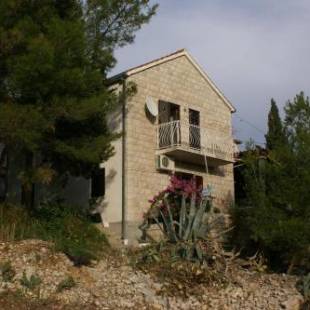 Фотографии гостевого дома 
            Apartment Milna 2962b