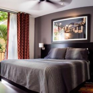 Фотография мини отеля The Red Tree House