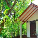 Фотография гостиницы Palmyra Nature Resort Sigiriya