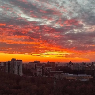 Фотография квартиры Квартира на бульваре