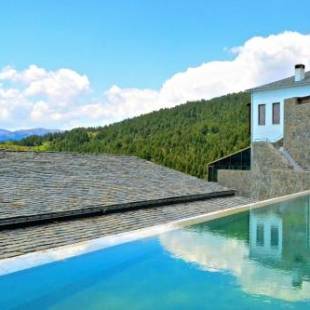 Фотография гостиницы Grand Forest Metsovo