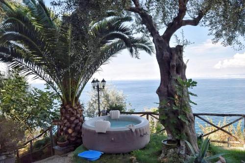 Фотография мини отеля La Palombara B&B