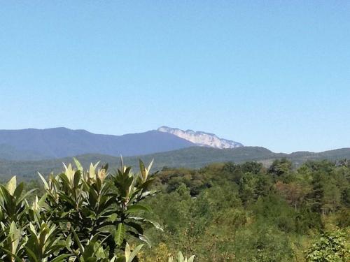 Фотография гостевого дома Guest House Lake Side