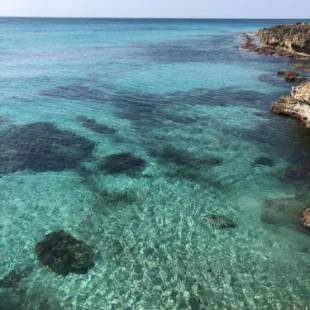 Фотографии гостевого дома 
            B&B Anirè