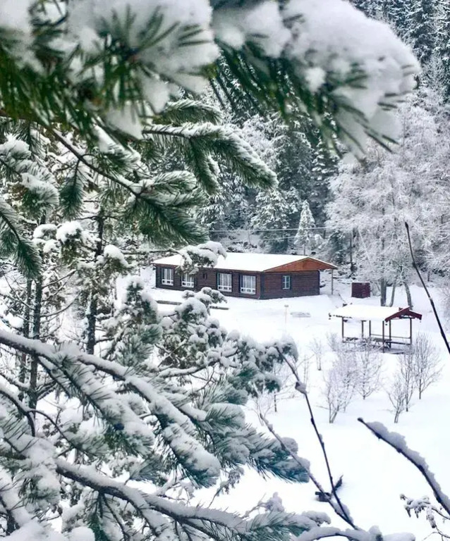 Фотография квартиры Апартаменты VILLANORDA