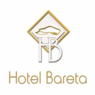 Фотографии гостиницы 
            Hotel Bareta