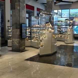 Фотография Геологический музей им. профессора В.Е. Ершова МГГУ