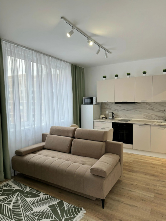 Фотографии квартиры 
            Апартаменты в новом ЖК Современник