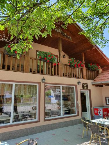 Фотография гостевого дома Cabana Sarmis Costesti