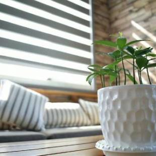 Фотографии мини отеля 
            The Green Mile Field B&B