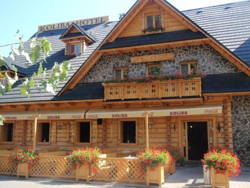 Фотография гостиницы Hotel Koliba