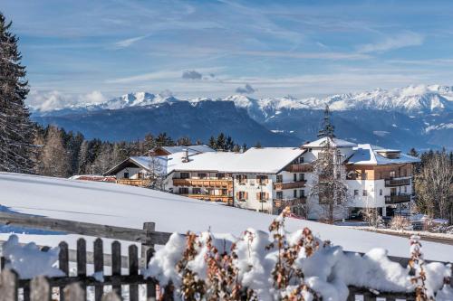 Фотография гостиницы Hotel Peter