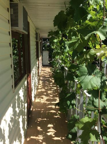 Фотография гостевого дома Гостевой дом Лана