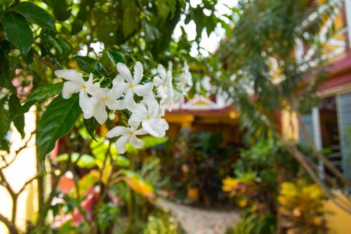 Фотография гостиницы Hotel BAHÍA