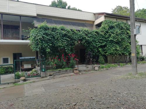 Фотография гостевого дома Эдельвейс