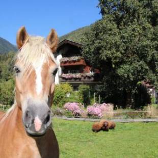 Фотографии базы отдыха
Bio-Bauernhof Auernig